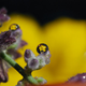 Image for article titled Refraction Shooting Challenge Gallery 1